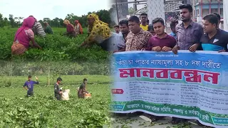 সমতলের চা শিল্প বাঁচাতে আন্দোলনে ক্ষুদ্র চা চাষিরা